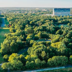 parki i tereny zielone