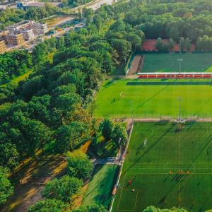 parki i tereny zielone