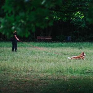 parki i tereny zielone